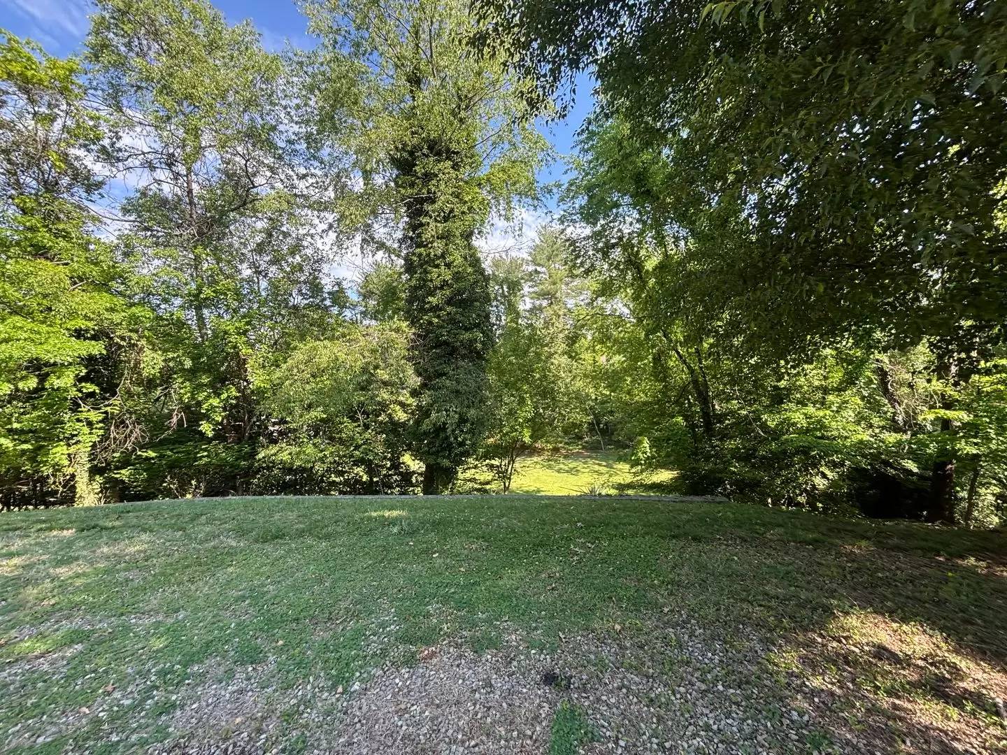 Property Image 76