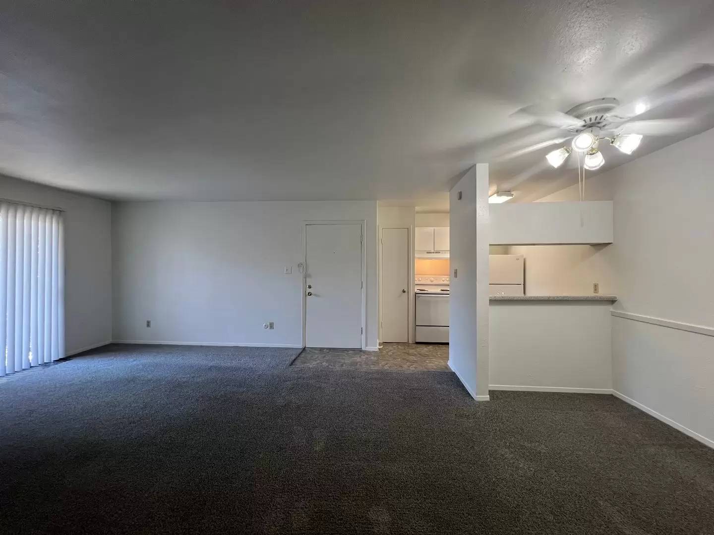 cover background