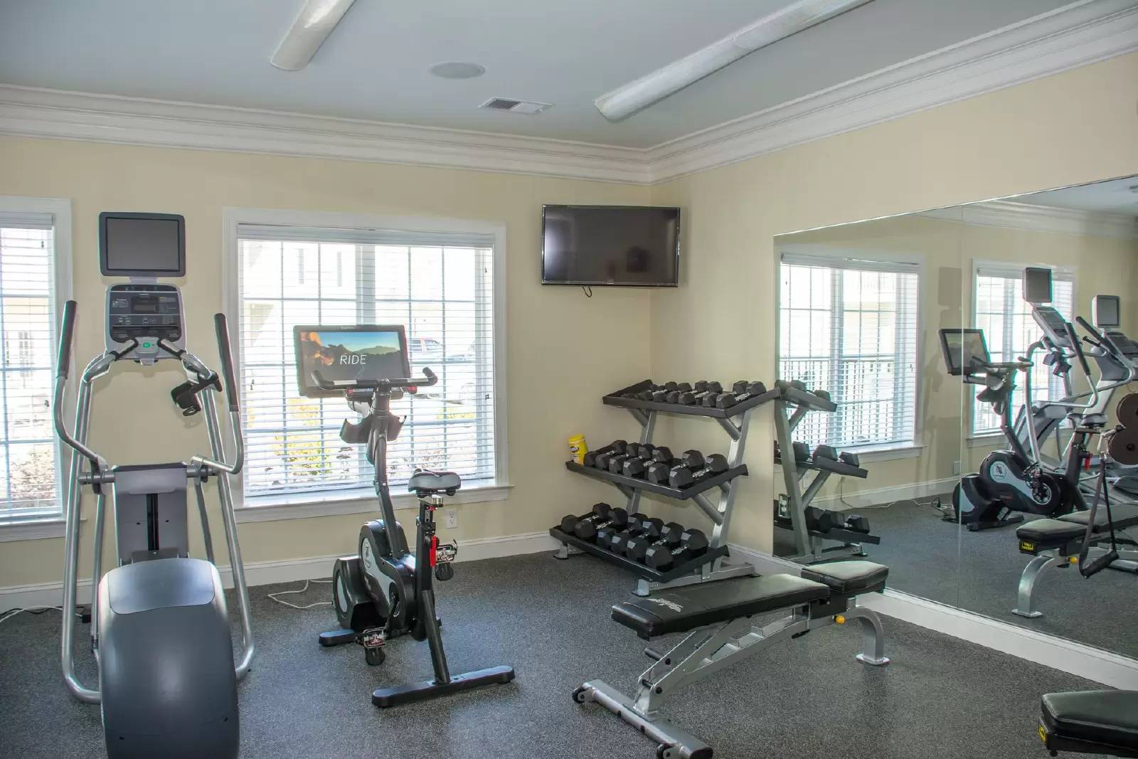 Property Image 7