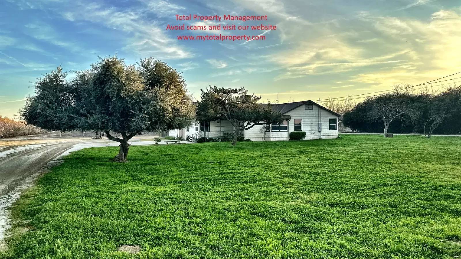 cover background
