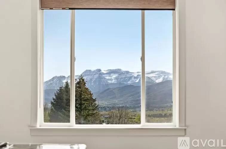 Property Image 81