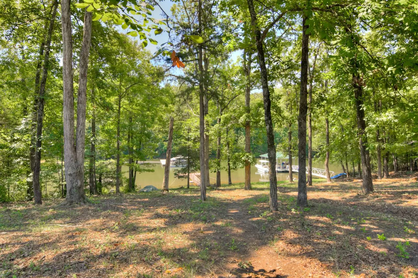 Property Image 38