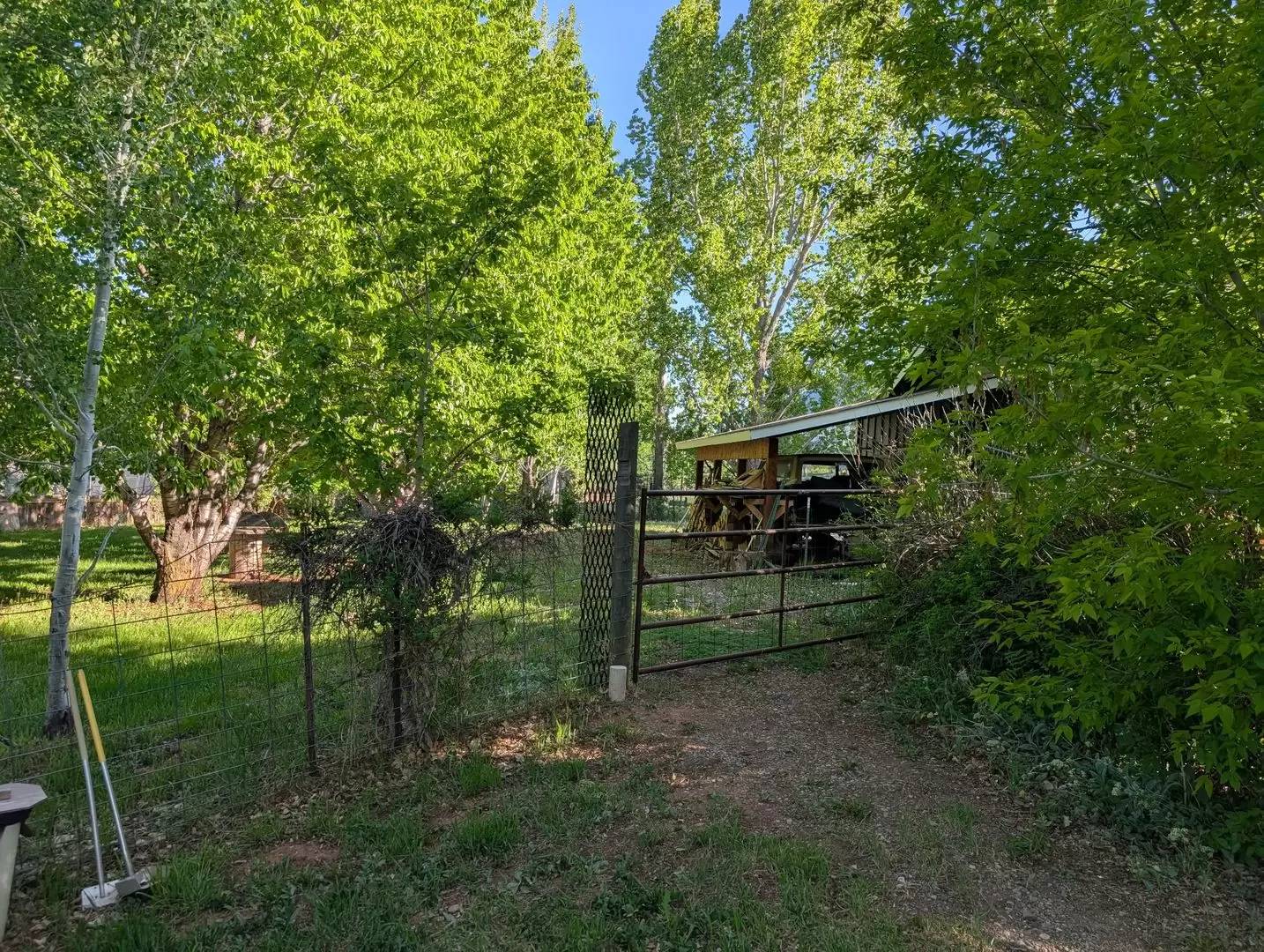 Property Image 13