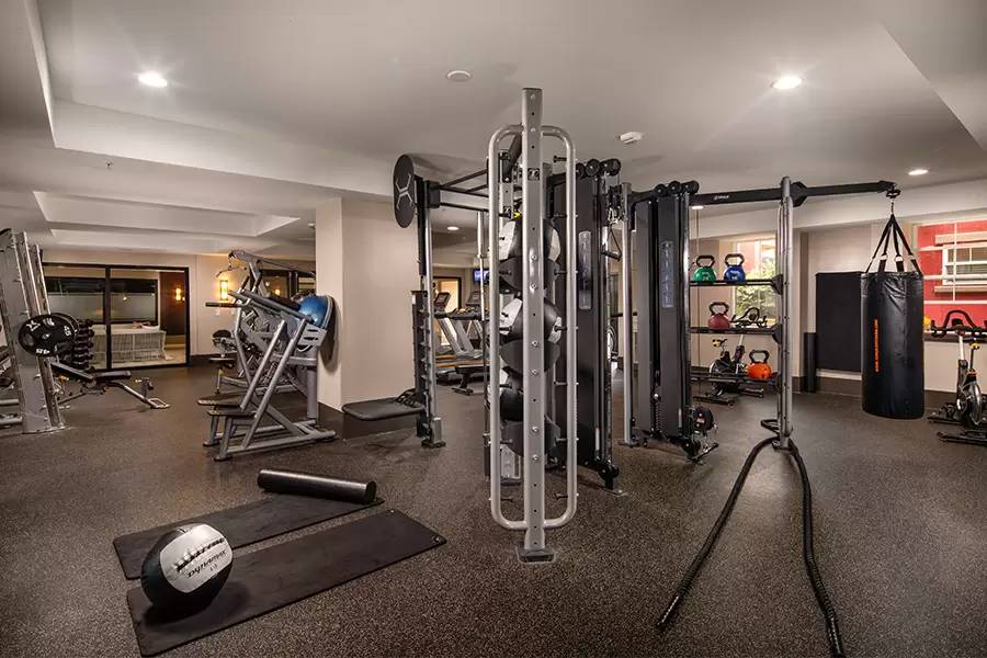 Property Image 15
