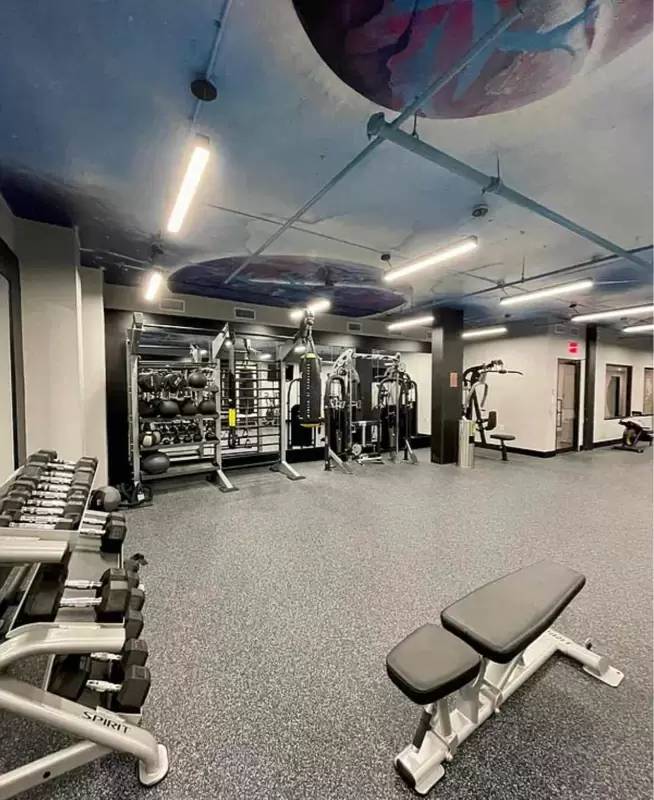 Property Image 14