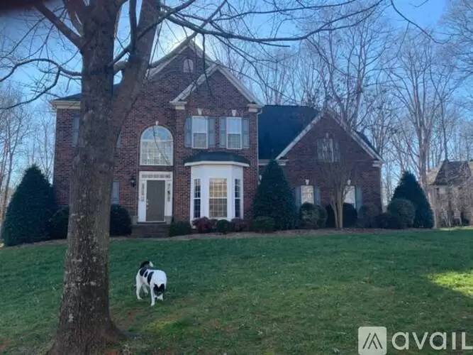 cover background