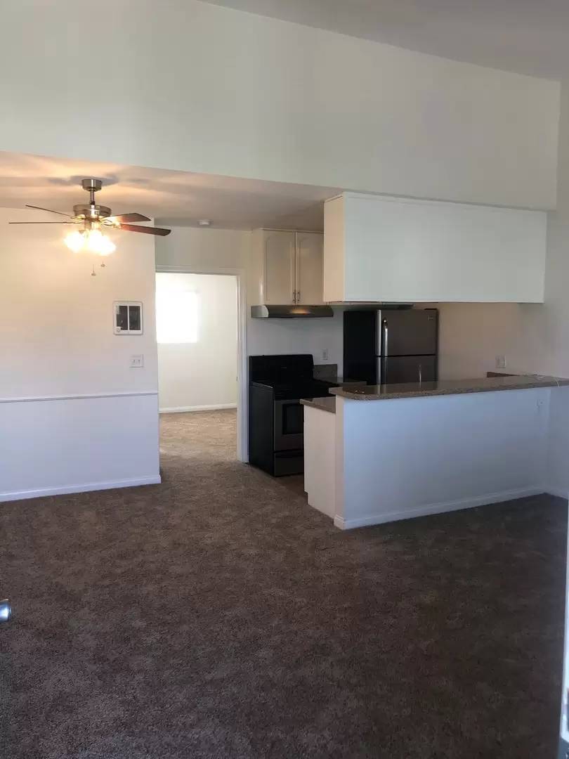 cover background