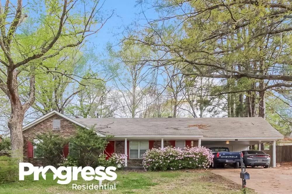 cover background