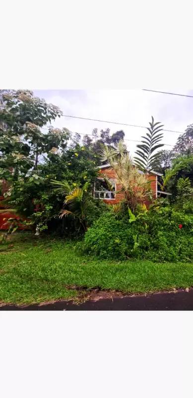 Property Image 69