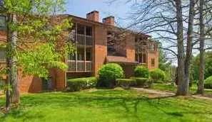 cover background