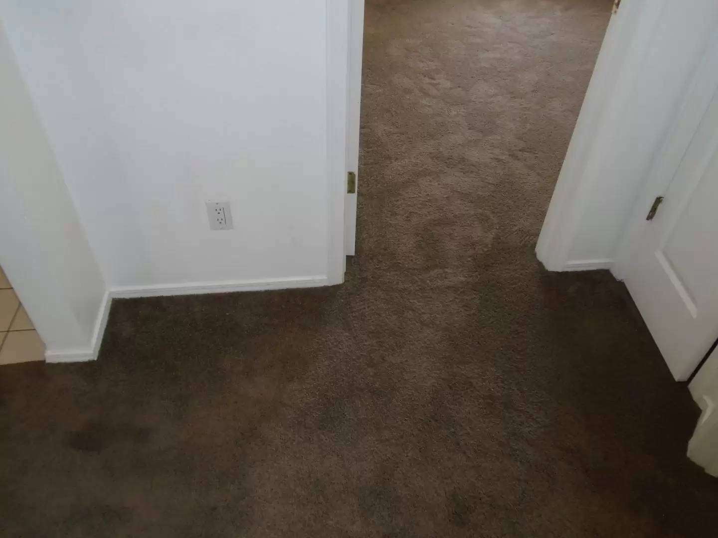 Property Image 79