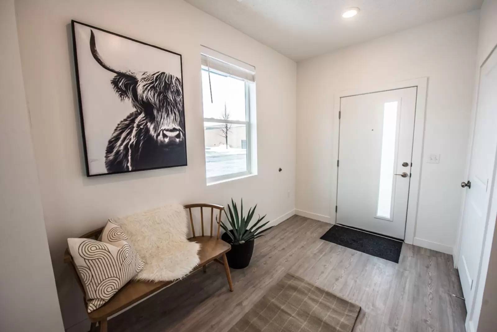 cover background
