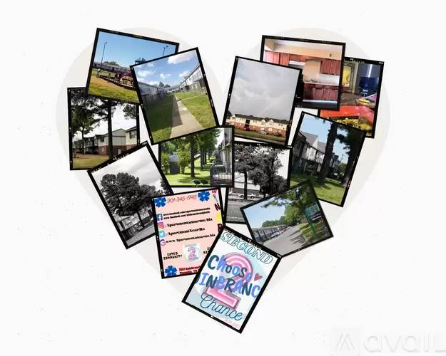 cover background