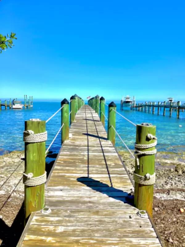 cover background
