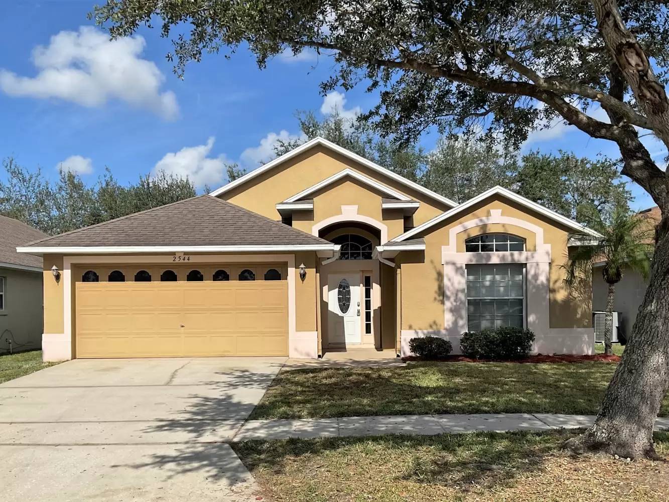 cover background