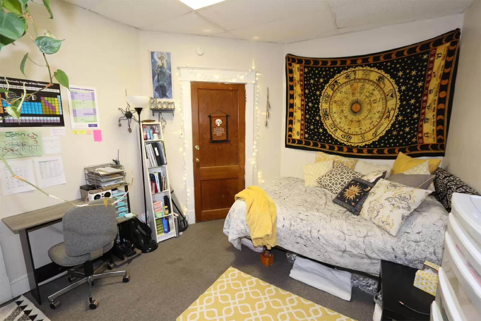 Property Image 34