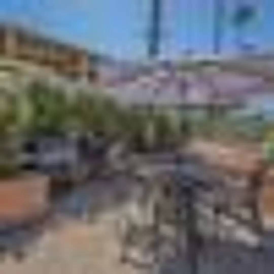 cover background