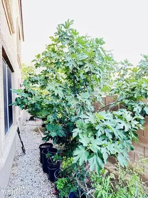 Property Image 76