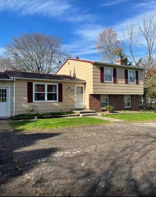 cover background