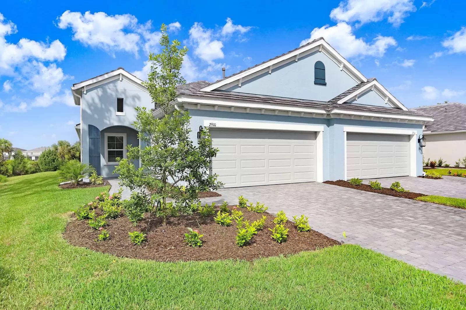 cover background