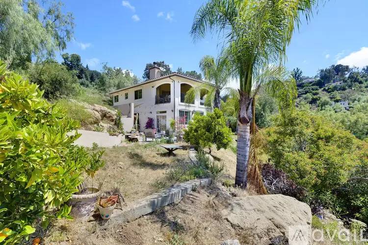 Property Image 52