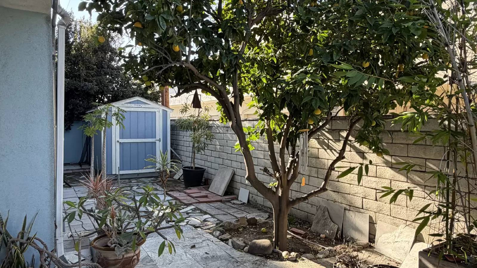 Property Image 36
