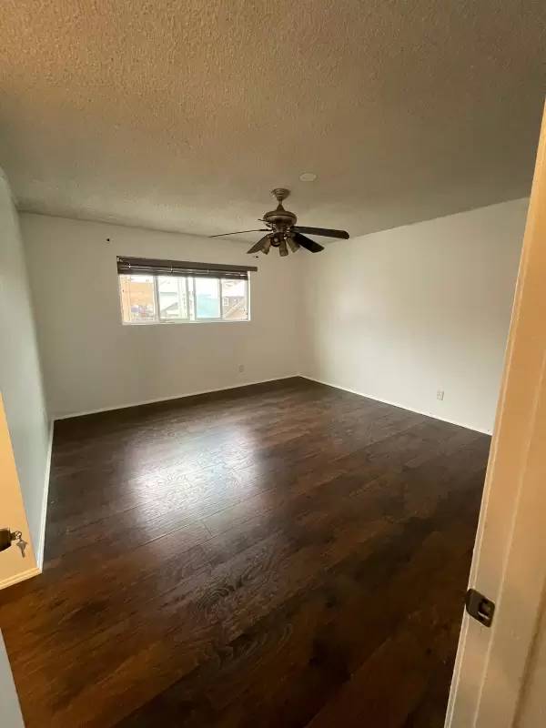 cover background