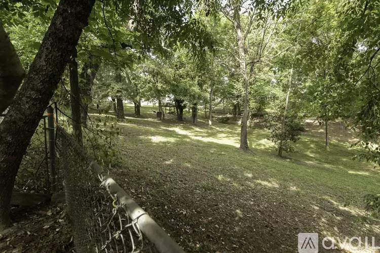 Property Image 57