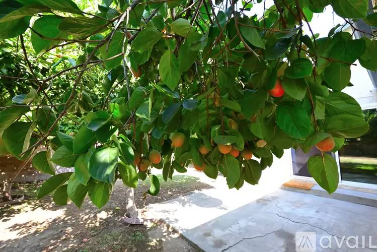 Property Image 68
