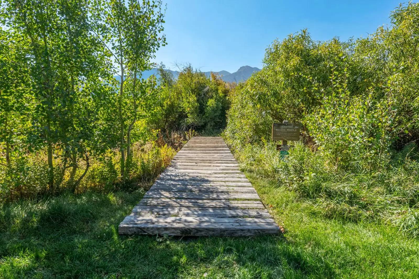 Property Image 55