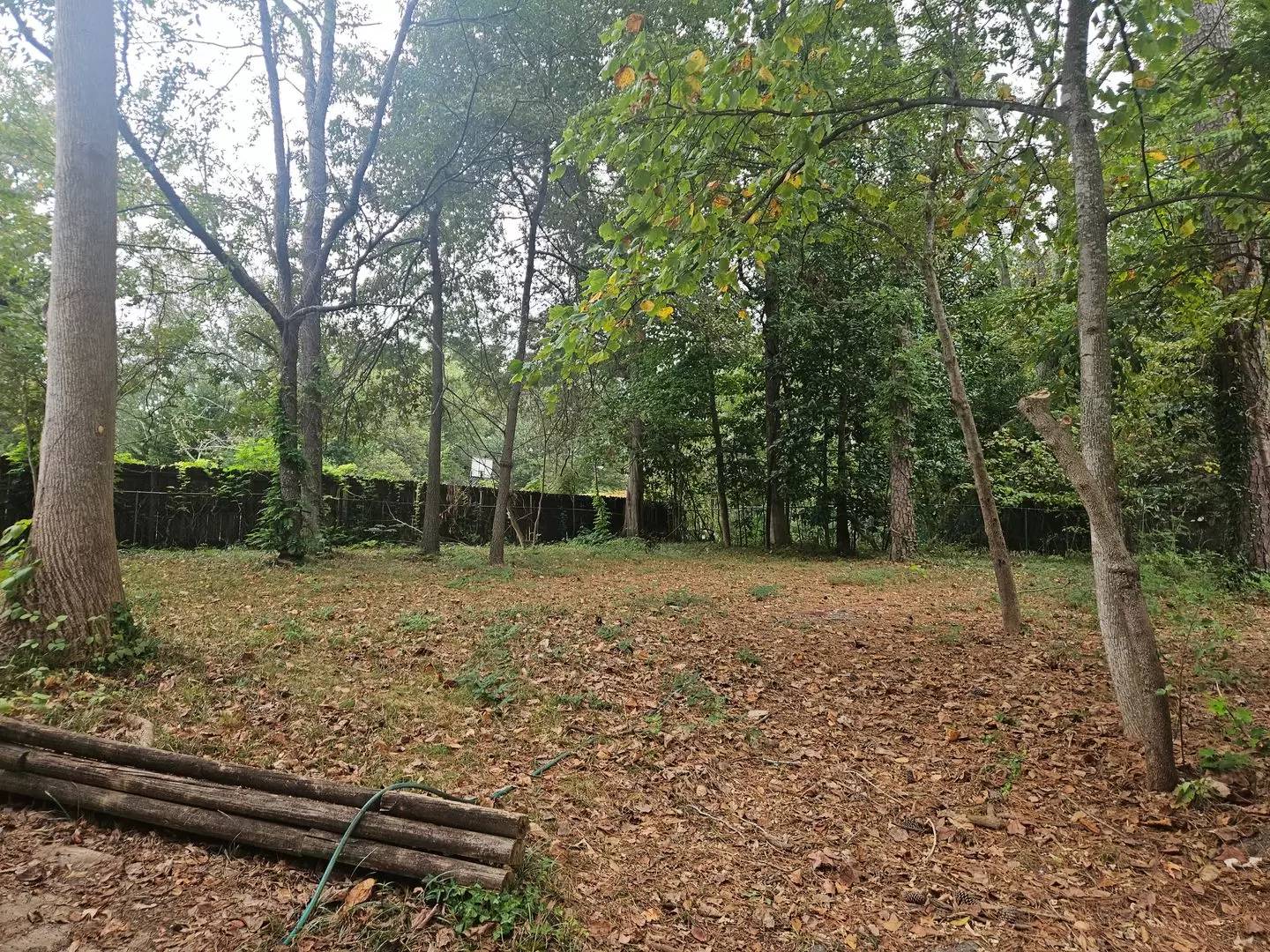 Property Image 9