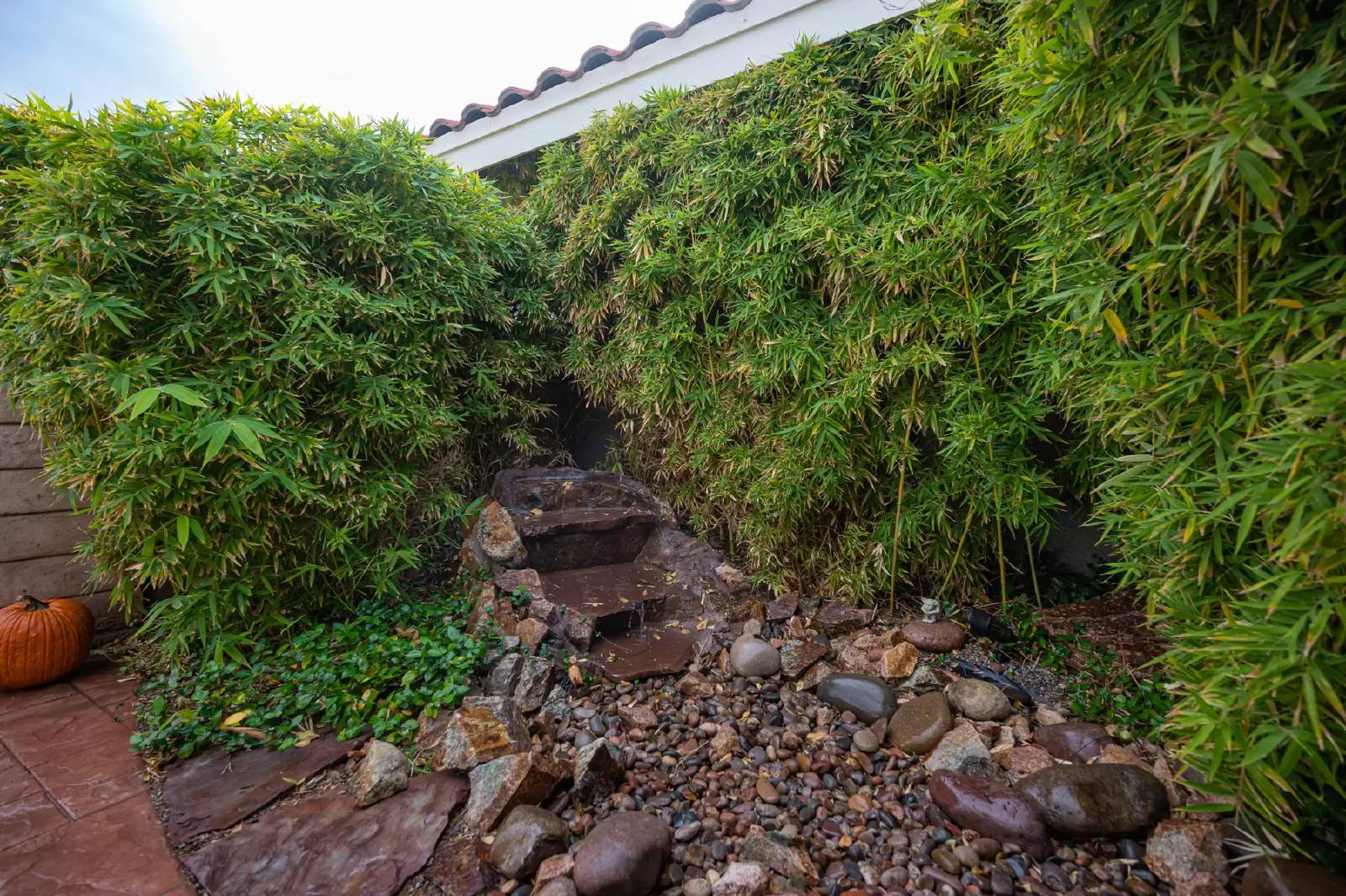 Property Image 55
