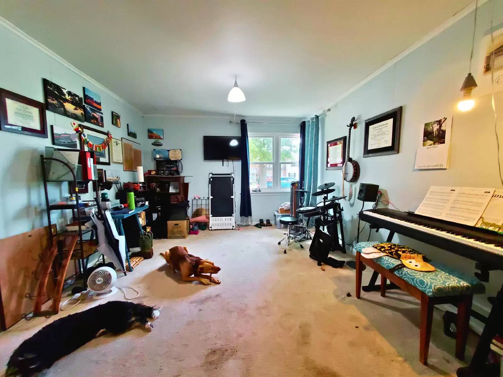 Property Image 17