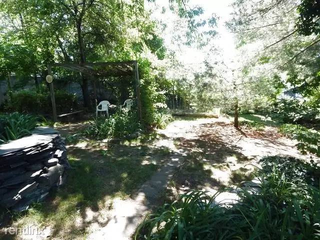 cover background