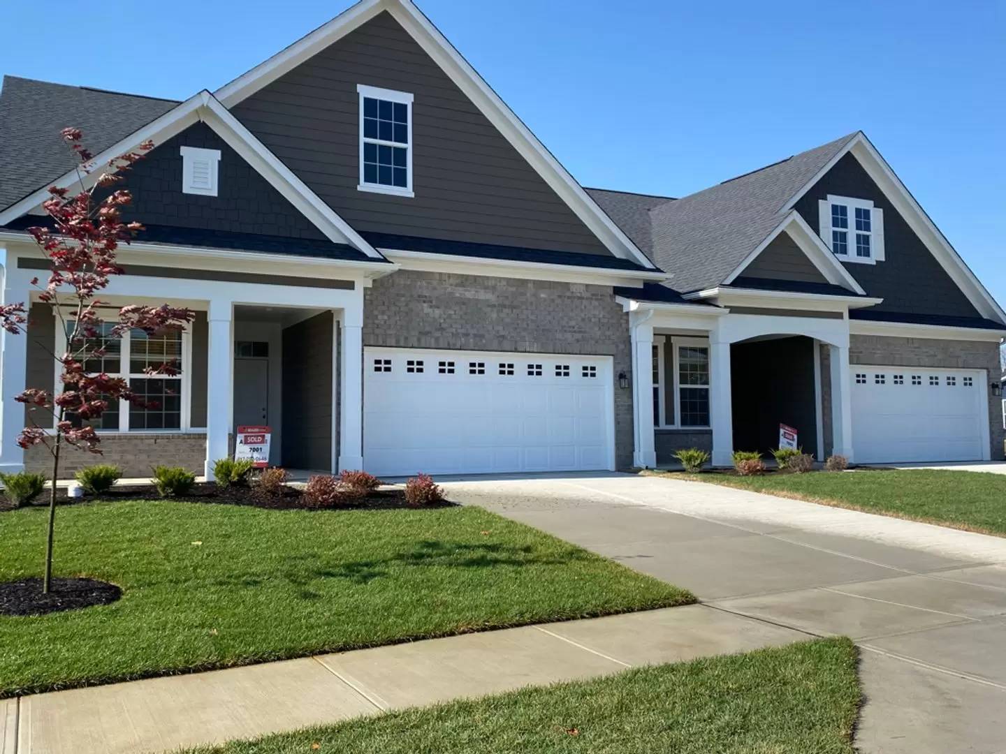cover background