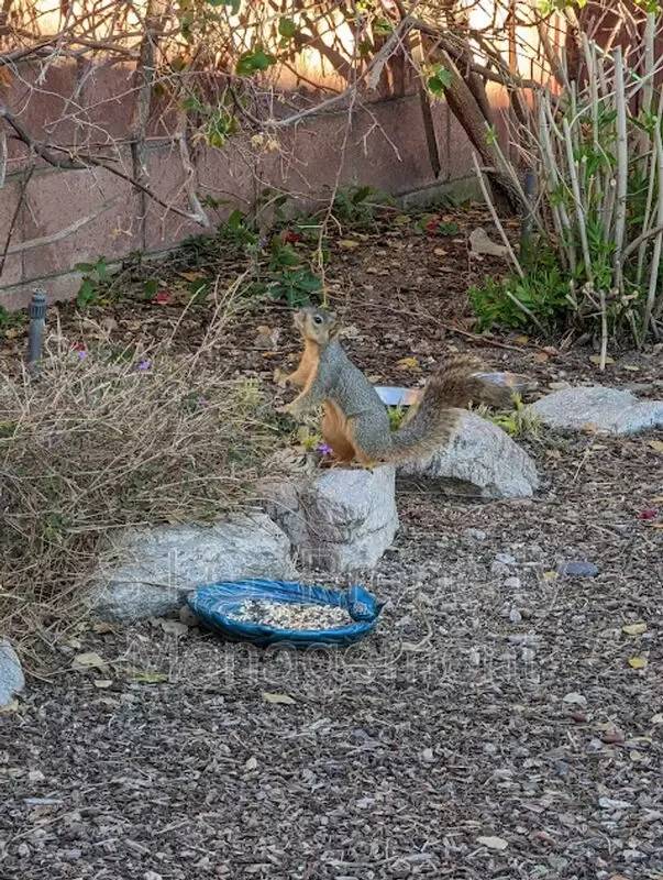 Property Image 59