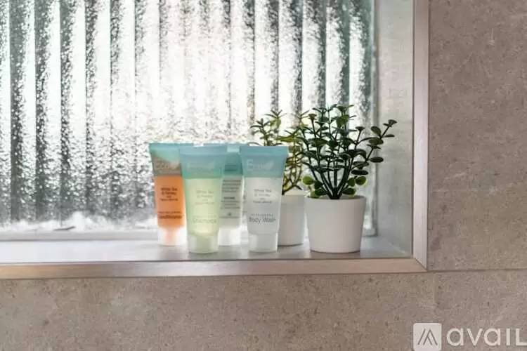 Property Image 59