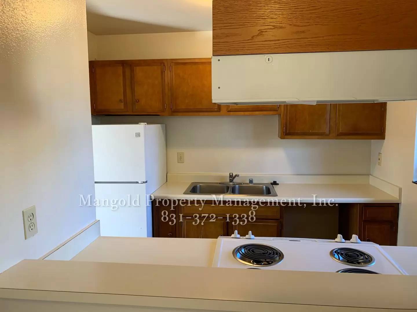 cover background