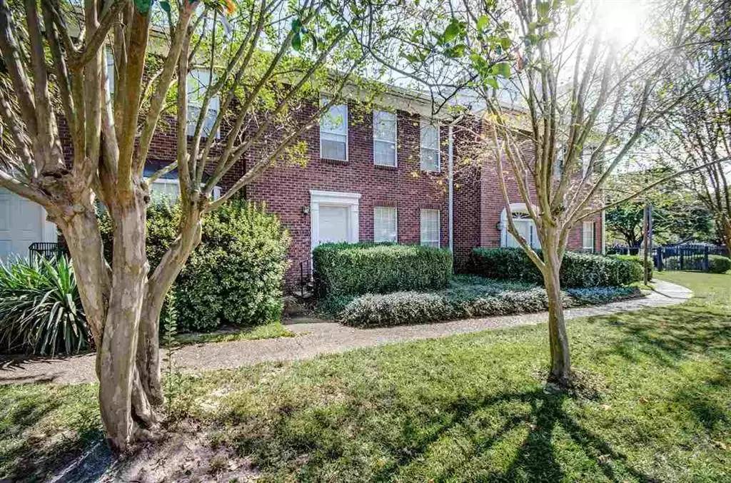 cover background