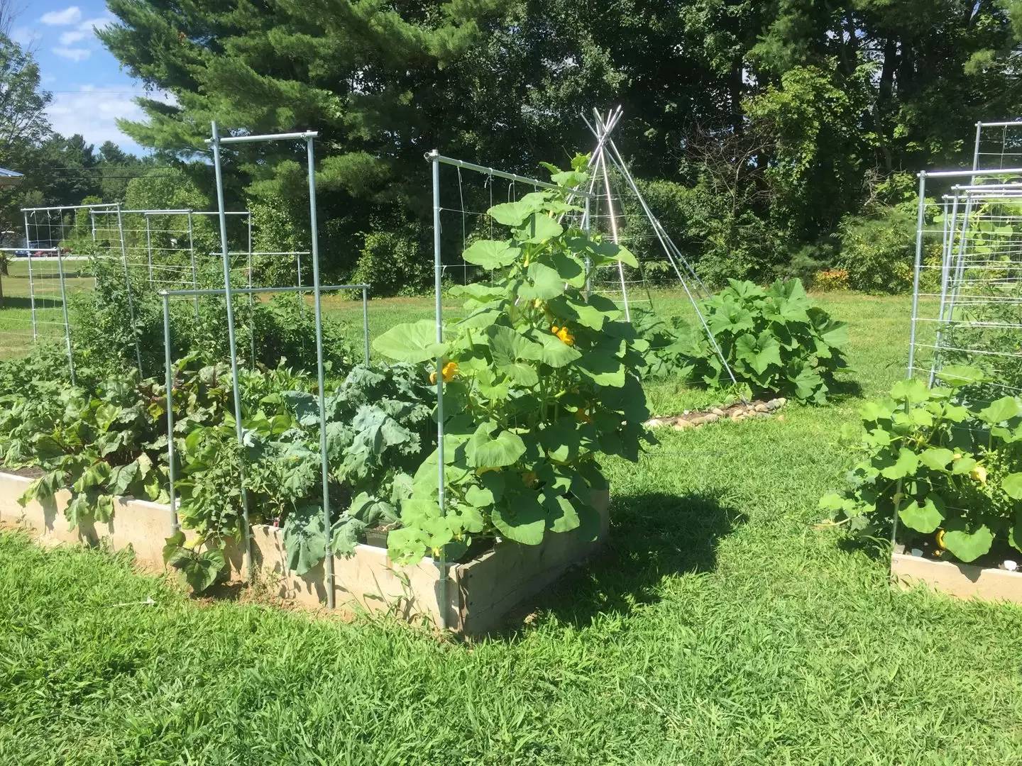 Property Image 19