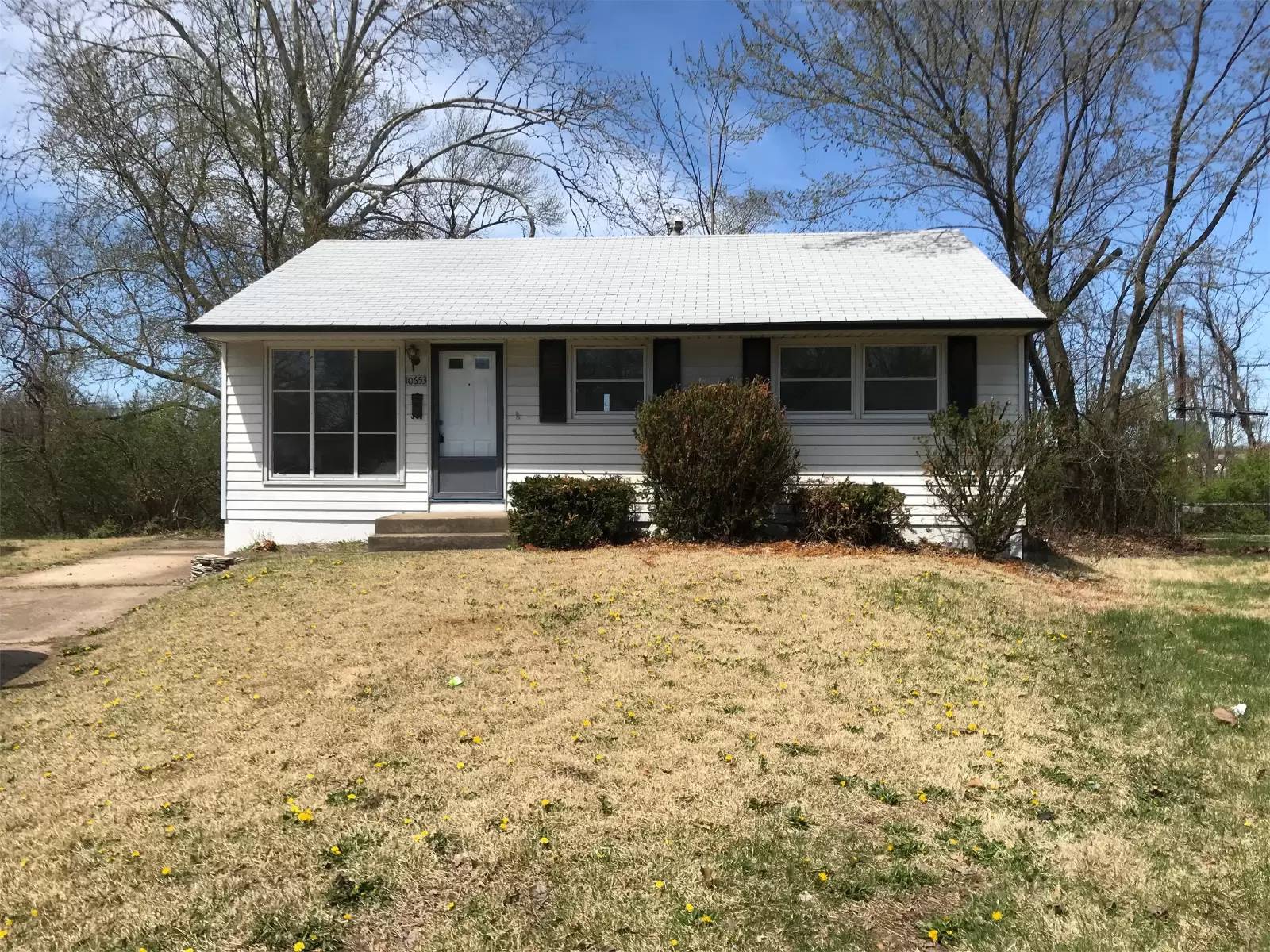 cover background
