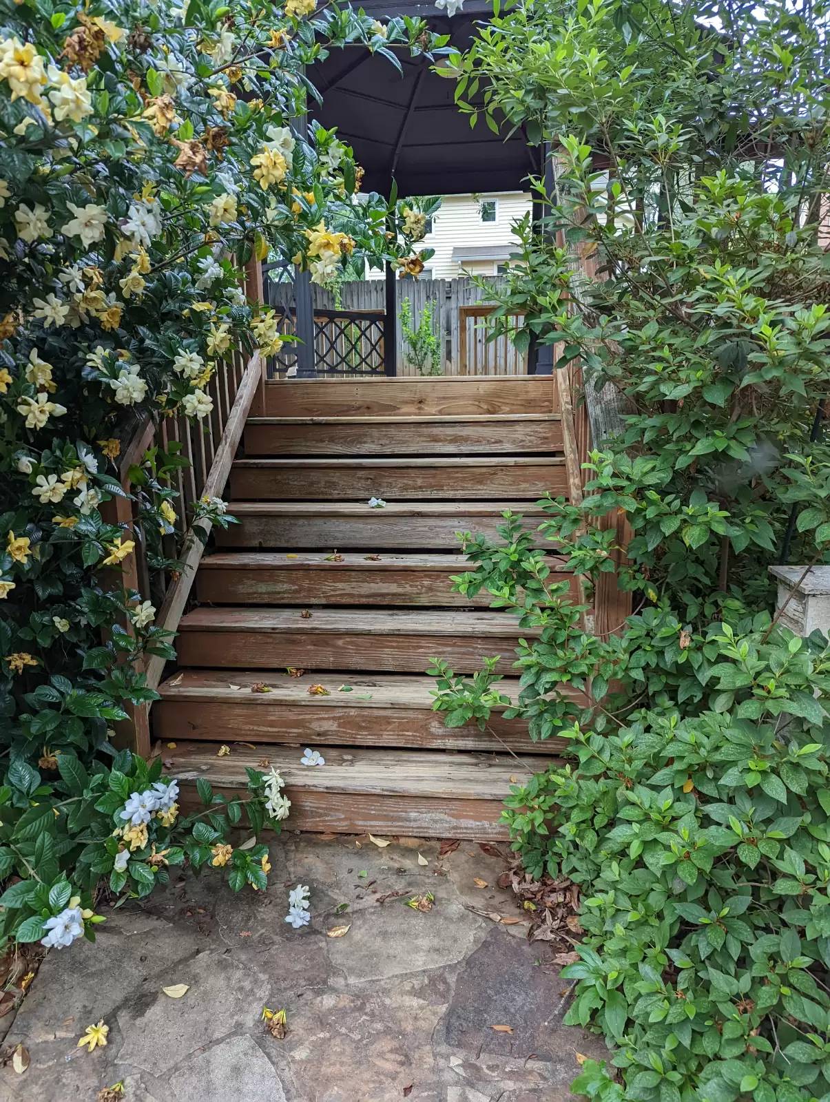 Property Image 86