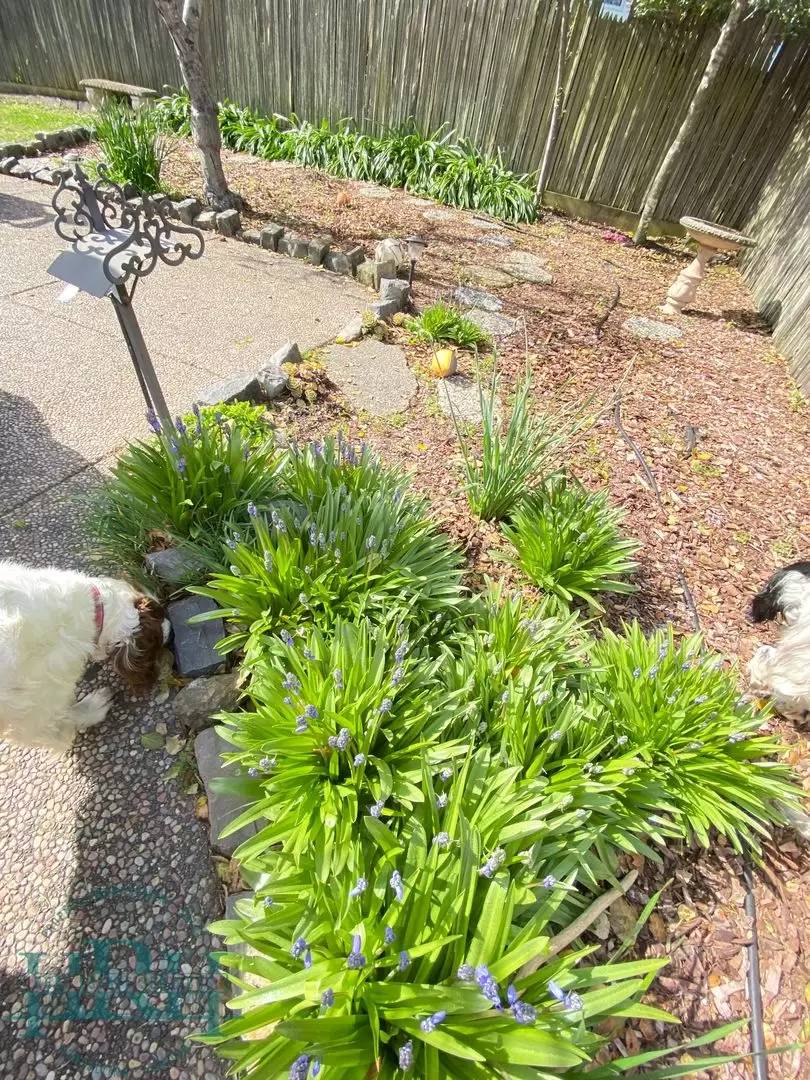 Property Image 44