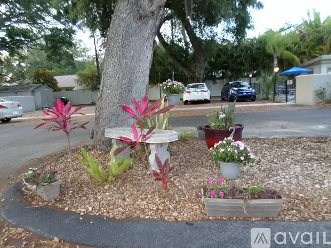 Property Image 53