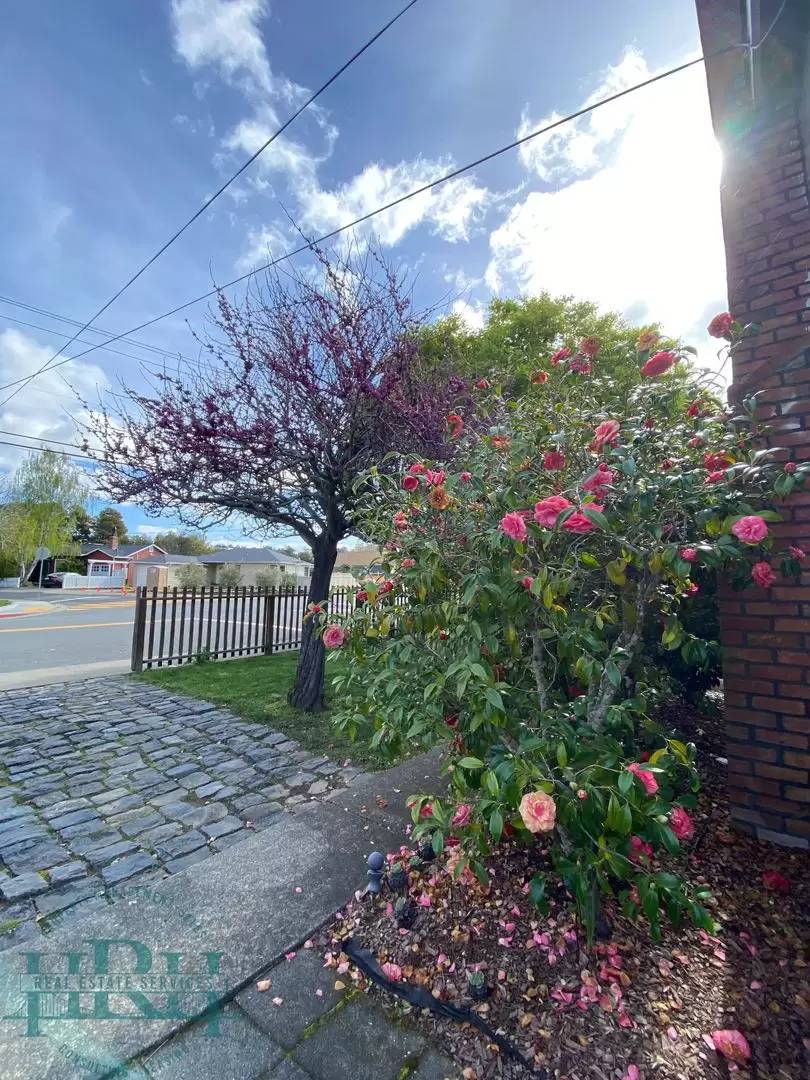 Property Image 51