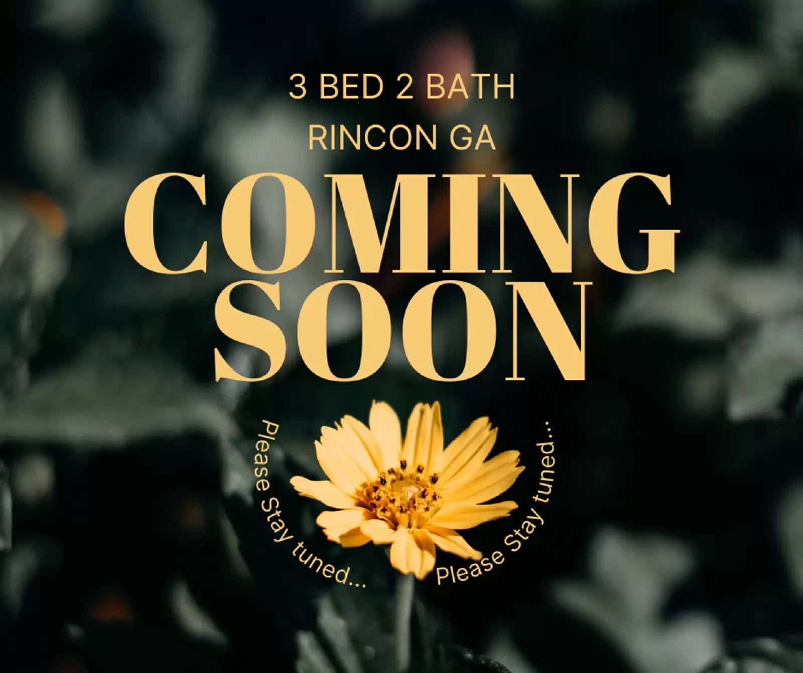 cover background