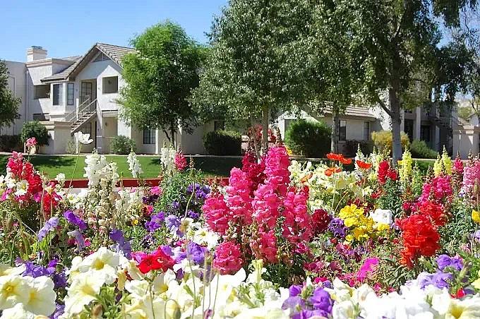 Property Image 86