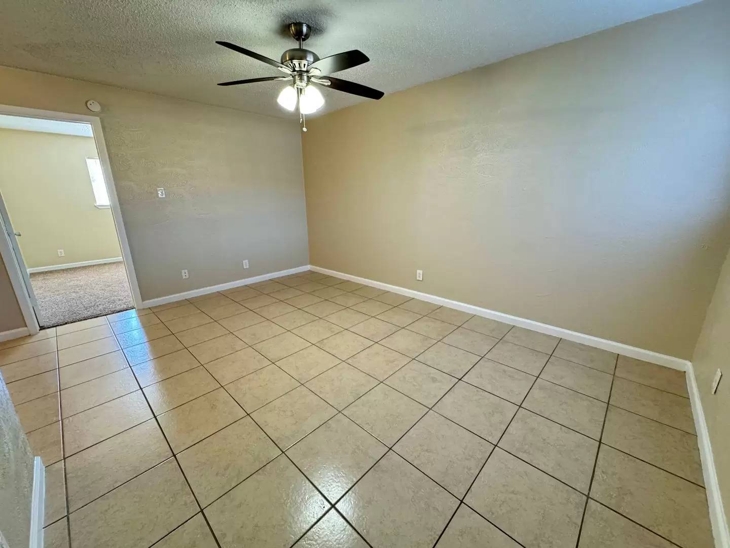 cover background