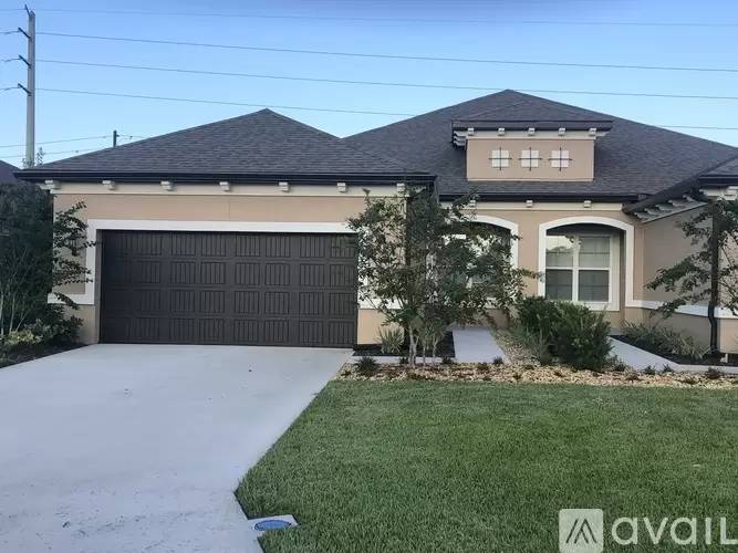 cover background