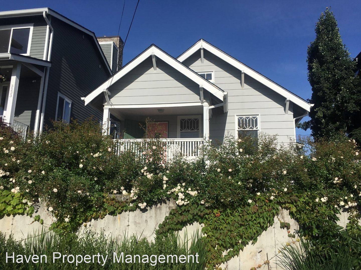 cover background